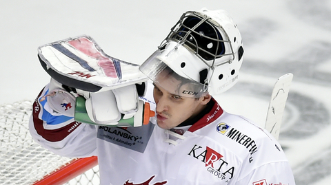Hokejový brankář Jakub Štěpánek.