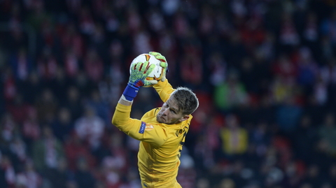 Brankář Tomáš Vaclík.