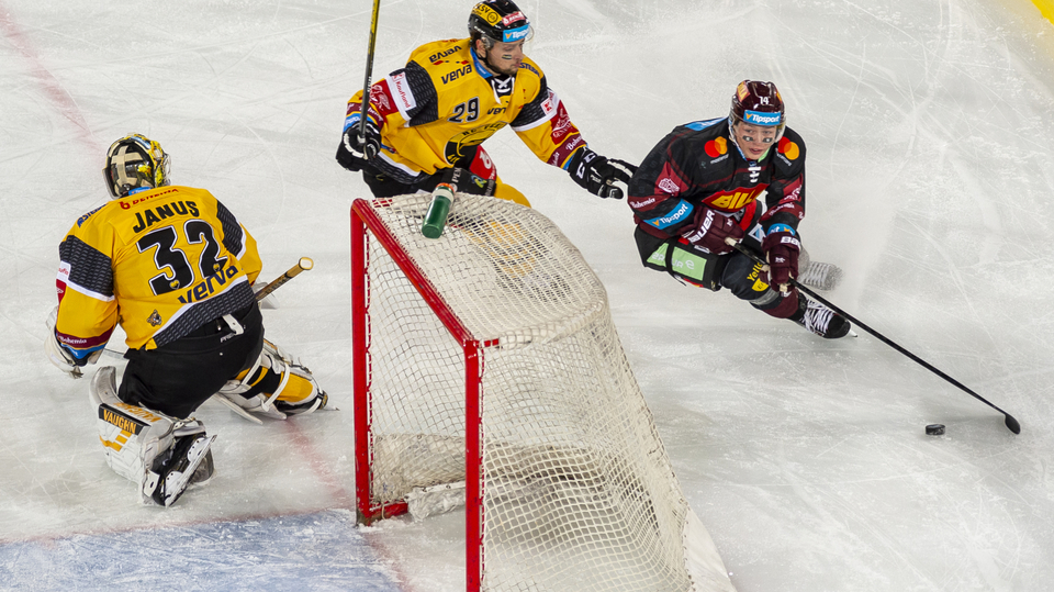 Zápas pod širým nebem mezi Spartou a Litvínovem.