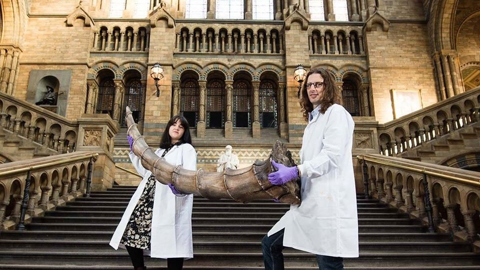 Muzeum ukáže exempláře tvorů ze světa Harryho Pottera.