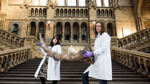 Muzeum ukáže exempláře tvorů ze světa Harryho Pottera.