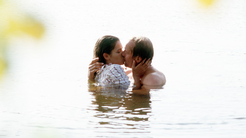 Utta Danella: Léto šťastného blázna