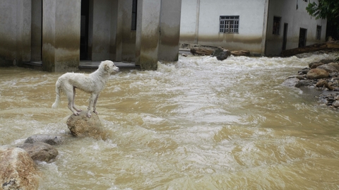 Záplavy v Brazílii.