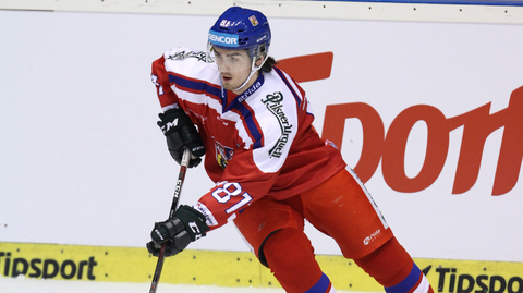 Utkání Česko - Finsko.