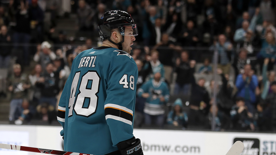 Český hokejista Tomáš Hertl.