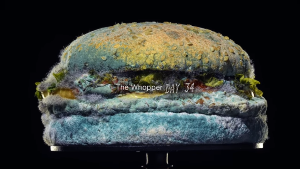 "Jsme organičtí." Burger King natočil reklamu na plesnivý hamburger.