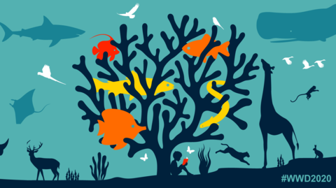 Světový den živočišstva a rostlinstva: OSN apeluje na zachování veškerého života
