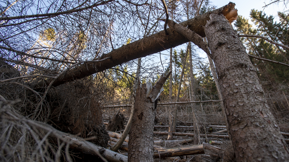 Krkonoše (ilustrační foto).