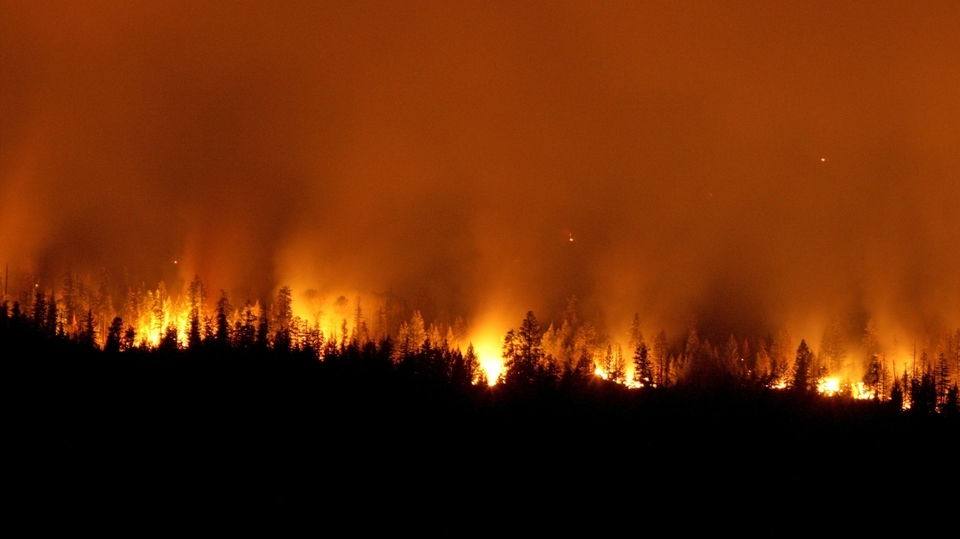 Za požáry v Austrálii mohou klimatické změny.
