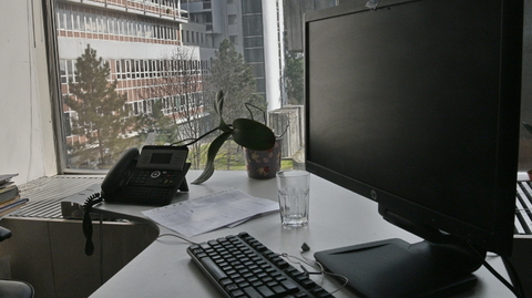 Pracovní místo v brněnské nemocnici, kde došlo ke kyberútoku.