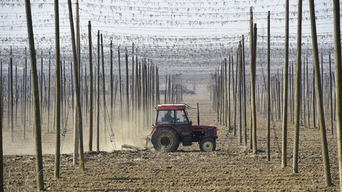 Zemědělské družstvo Kokory. 