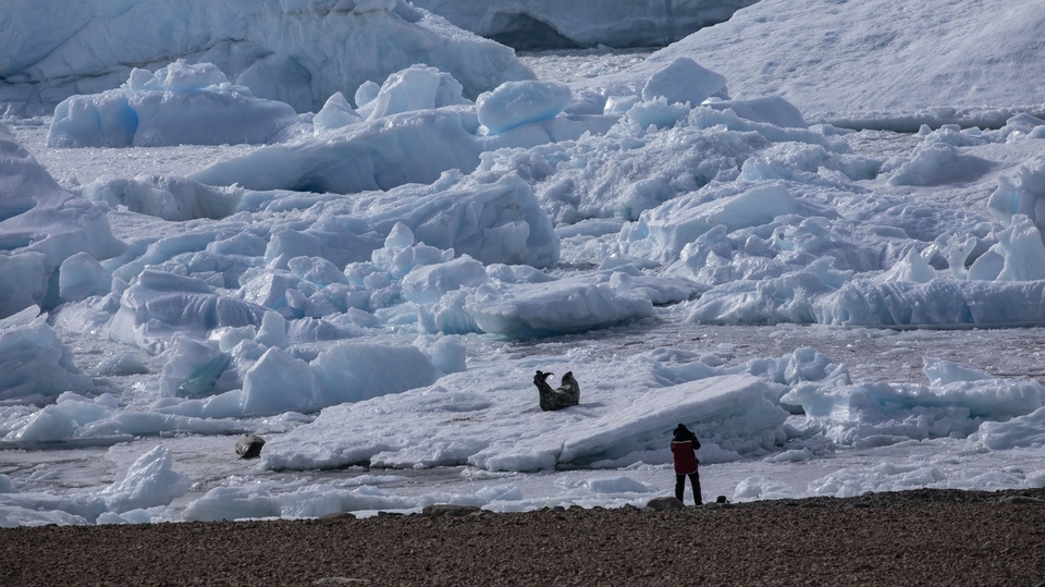 Ostrov krále Jiřího.