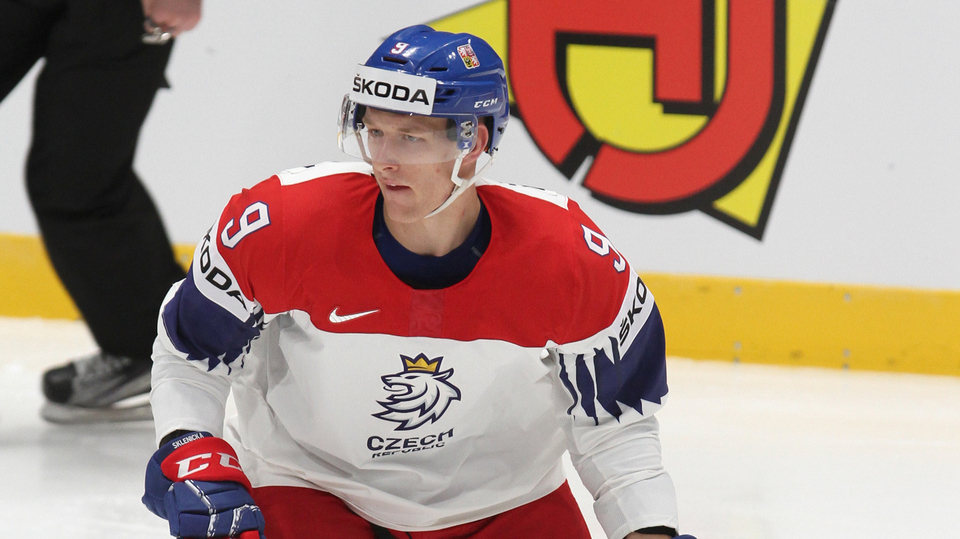 Hokejový obránce David Sklenička.