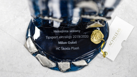 Cena pro vítěze ankety.