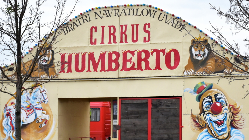 Cirkus Humberto.