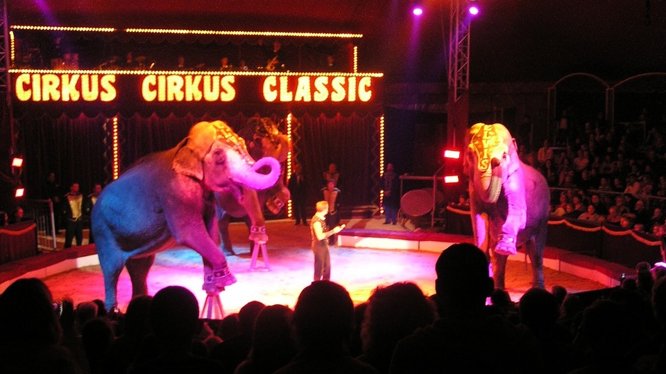 Cirkus Cirkus Classic
