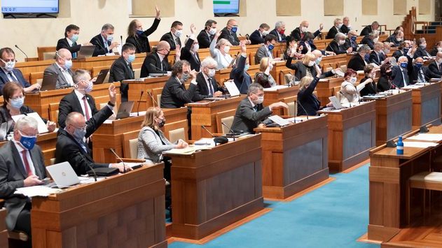 Schůze Senátu 13.5.2020.