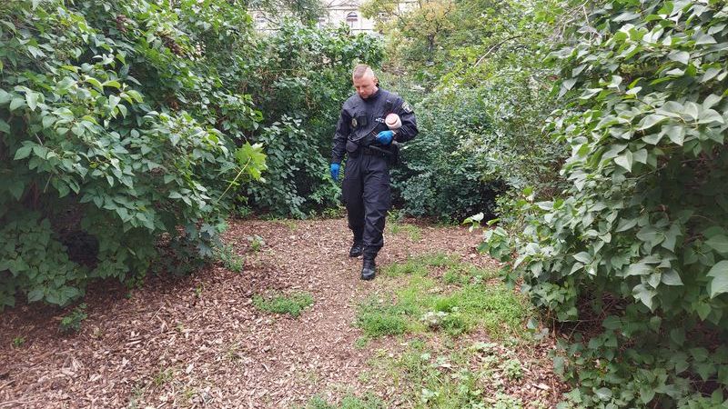 Strážník Městské policie Brno.