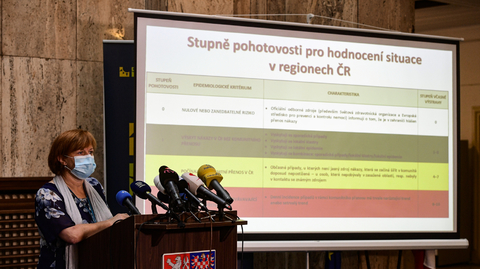 Hlavní hygienička ČR Jarmila Rážová vystoupila 3. srpna 2020 v Praze na tiskové konferenci ministerstva zdravotnictví k aktuální epidemické situaci nákazy covidem-19.