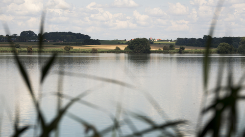 Sopřečský rybník.