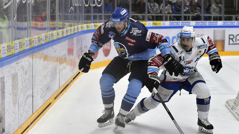 Tomáš Plekanec (vpravo).