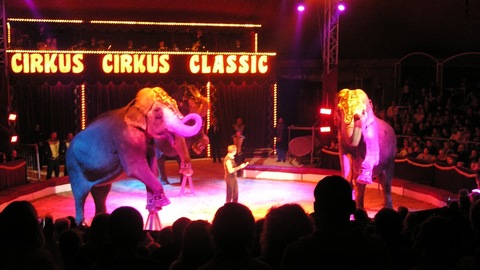 Cirkus Cirkus Classic 