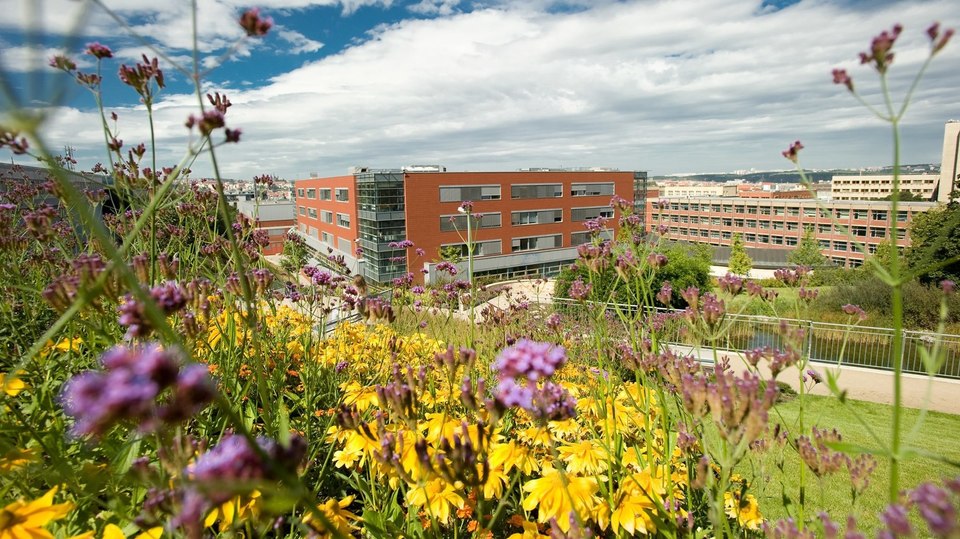 Vysoká škola ekonomická v Praze.