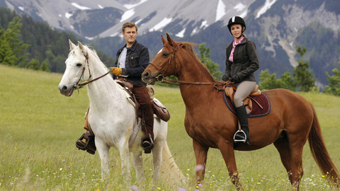 Utta Danella: Pod křídly lásky