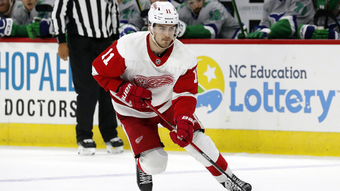 Český útočník ve službách Detroitu Filip Zadina.