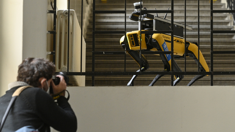 První čtyřnohý robot americké společnosti Boston Dynamics byl představen 25. května 2021 na tiskové konferenci Fakulty elektrotechnická ČVUT v Praze.