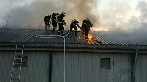 Ve Starých Holicích na Pardubicku 10. června 2021 večer vypukl požár drůbežárny s 8000 kuřaty. Podle předběžného odhadu hasičů vznikla při požáru škoda 7,5 milionu korun.