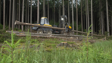 Státní podnik Lesy České republiky 29. června 2021 u obce Gajer na Svitavsku začal kácet dřevo na krovy pro obnovu domů zničených na jižní Moravě tornádem.