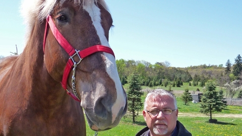 Nejvyšší kůň světa Big Jake.