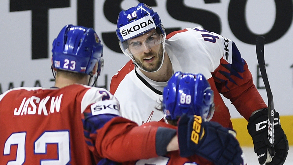 Hokejový útočník David Krejčí v dresu národního týmu.