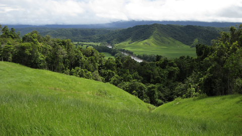 Nejstarší tropický deštný prales světa byl vrácen původním obyvatelům Austrálie.