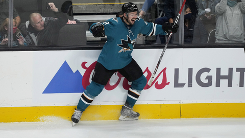 Český hokejový útočník Tomáš Hertl se raduje ze vstřelené branky.