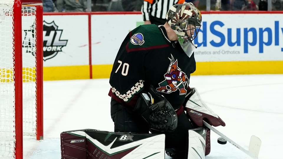 Český brankář Karel Vejmelka dovedl Arizonu k výhře. 