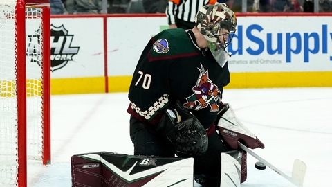 Český brankář Karel Vejmelka dovedl Arizonu k výhře. 