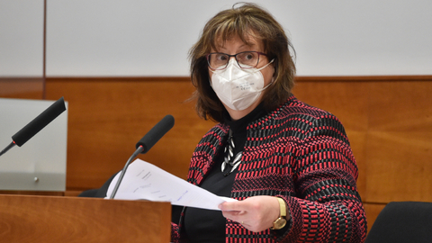 Nejvyšší správní soud v Brně začal 17. ledna 2022 projednávat kárnou žalobu na brněnskou soudkyni Jaroslavu Bartošovou. Opakovaně prodloužila přerušení trestu podnikateli Romanu Janouškovi, ačkoliv panovaly pochybnosti o tom, zda jeho zdravotní stav skutečně neumožňuje pobyt ve vězení.