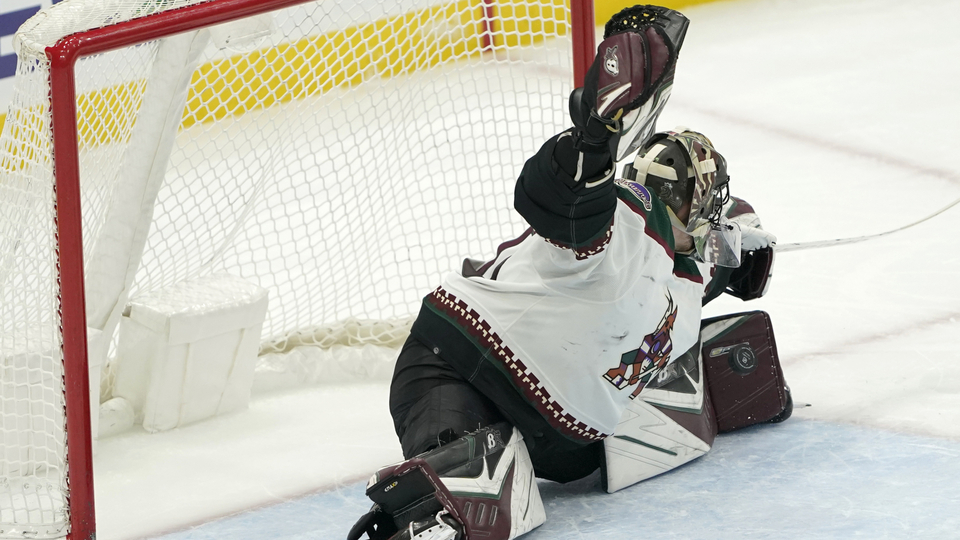 Brankář Arizony Karel Vejmelka vytahuje další skvělý zákrok.