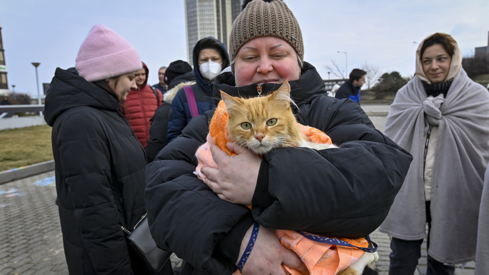 Váleční uprchlíci z Ukrajiny na cestě do bezpečí. 