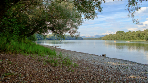 Řeka Dunaj (ilustrační foto).