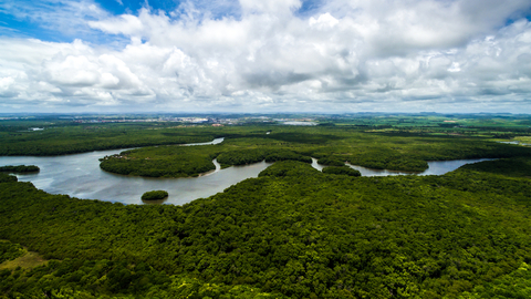 Amazonský prales (ilustrační foto).