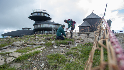 Přírodu na Sněžce opět chrání sítě, vymezují návštěvnický prostor.