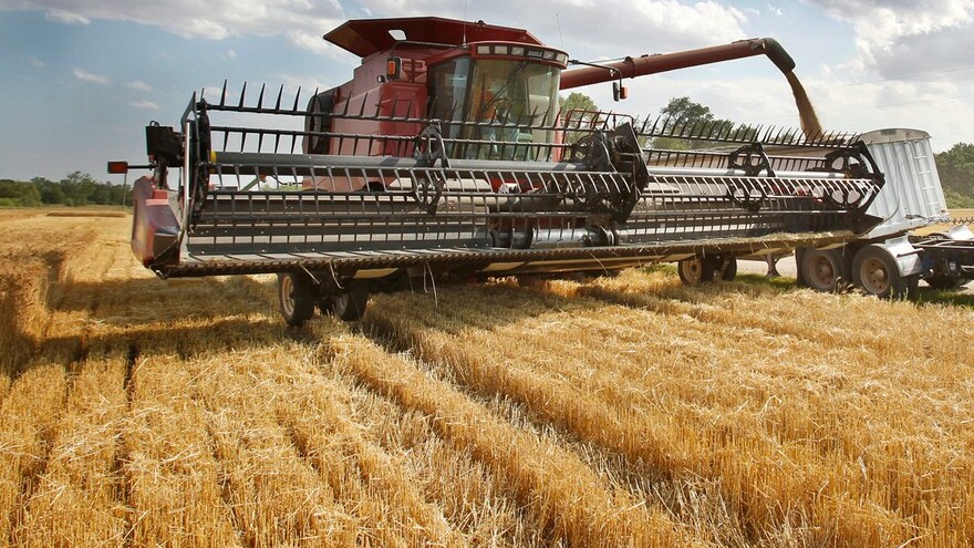 Obilí je bezpečné?