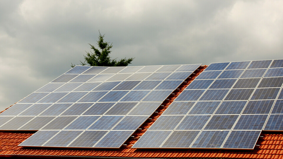 Malina definitivně zkrachovala