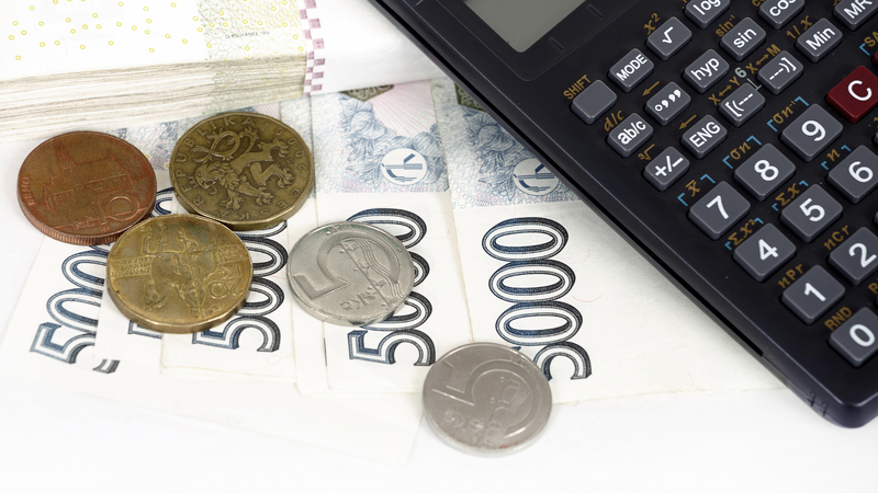 Desetinásobek příjmů má 12 procent domácností