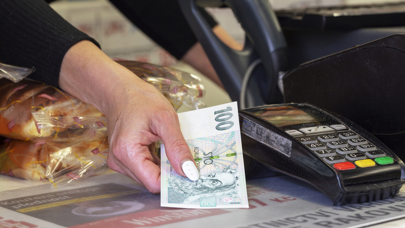 Potíže vyjít se mzdou má 55 procent Čechů