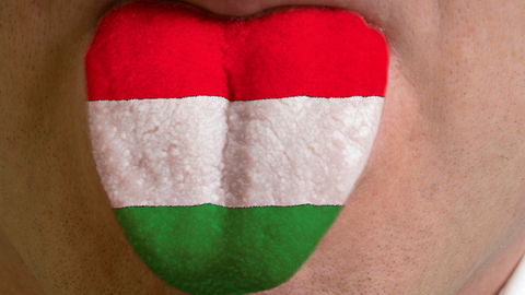 Budapešť říká, klíčovým je zachování maďarštiny na školách