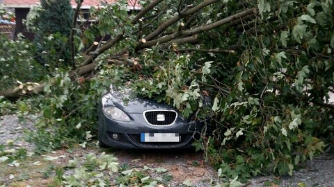 Vítr v noci v Královéhradeckém kraji lámal stromy, bez elektřiny 1500 domácností